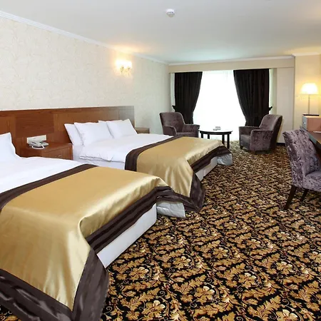 Arya Sakarya 3*