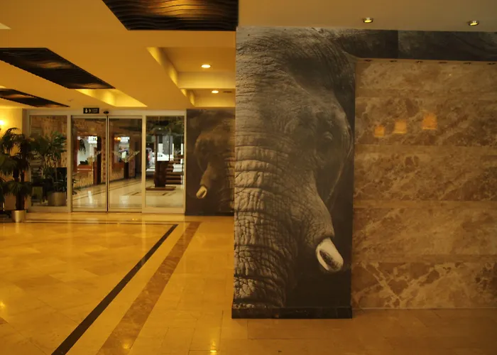 Arya Sakarya (Marmara)